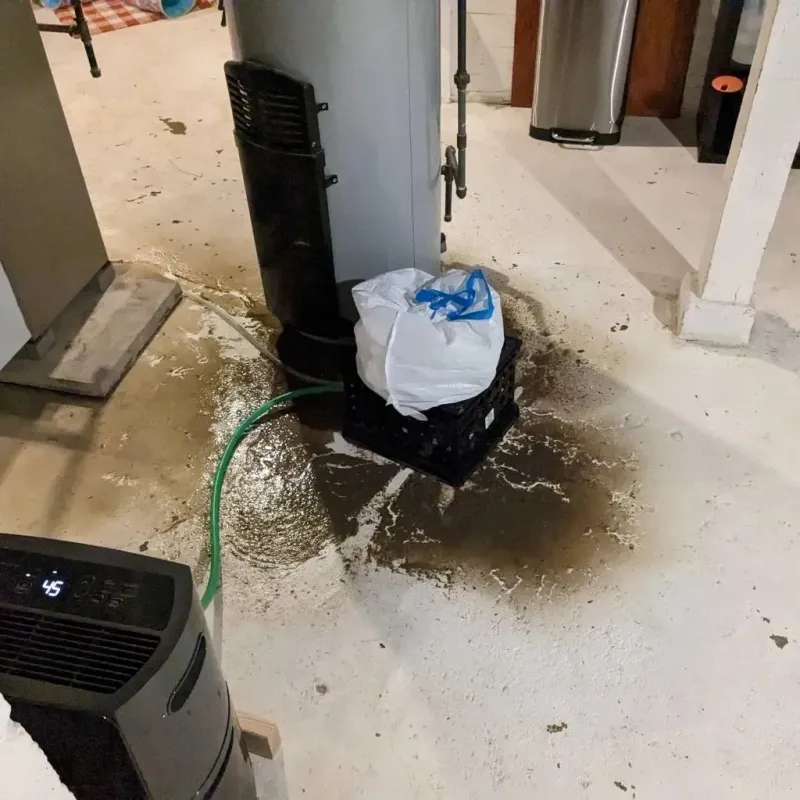 Sewage Backup Cleanup Service in Ash Grove, MO